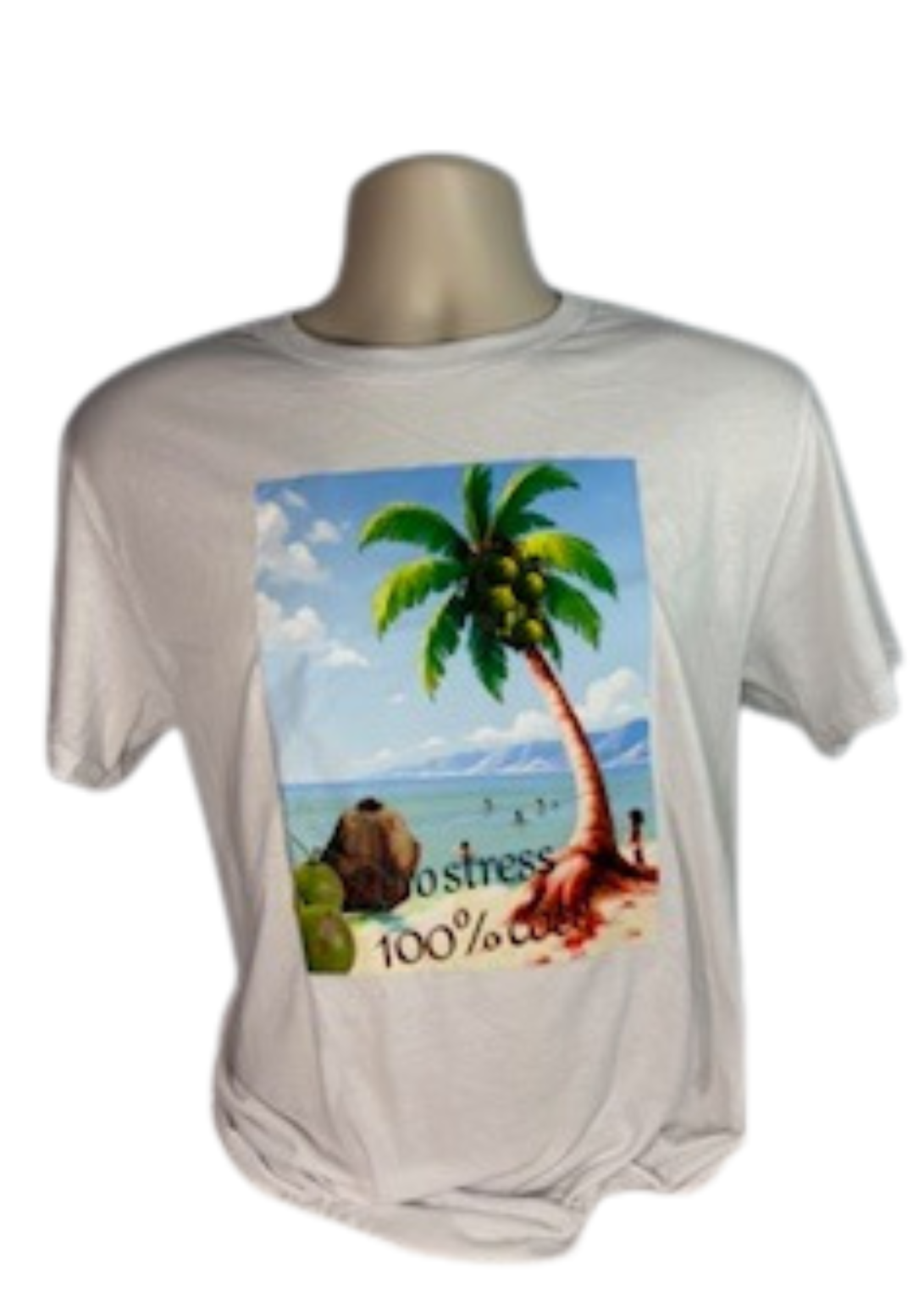 T-shirt long Homme 100% coco